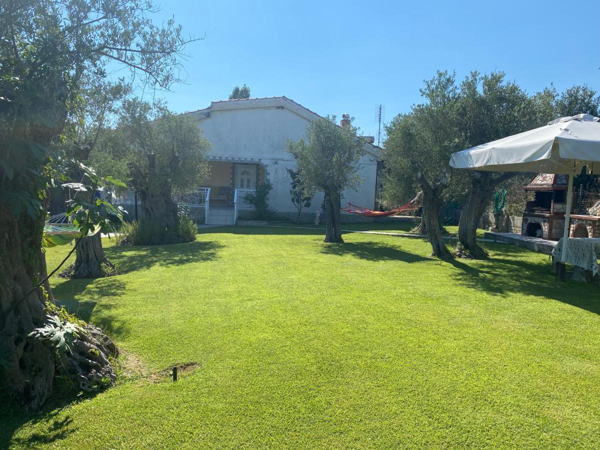 Terry'S Villa Nea Nea Makri Extérieur photo