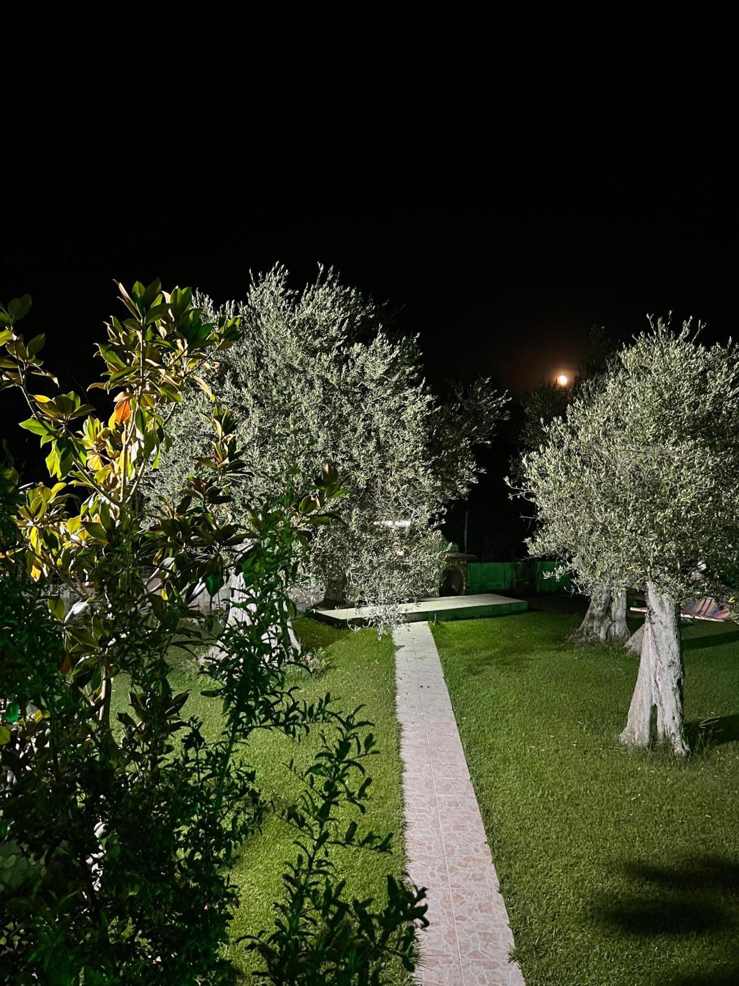 Terry'S Villa Nea Nea Makri Extérieur photo